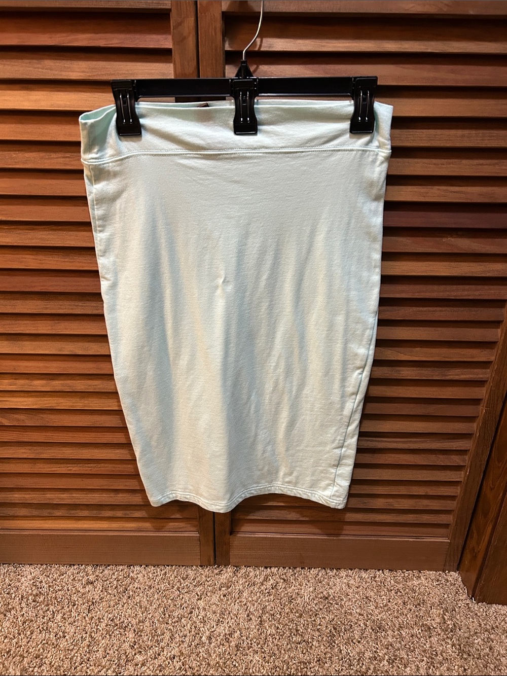 Women’s Light Mint Green Pencil Skirt